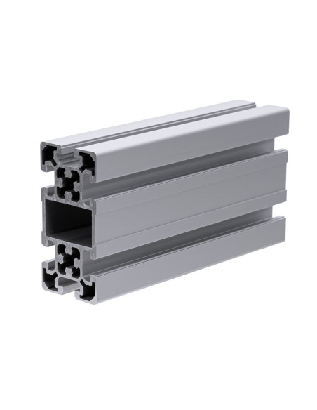 Profil aluminiowy 50x100L [10]